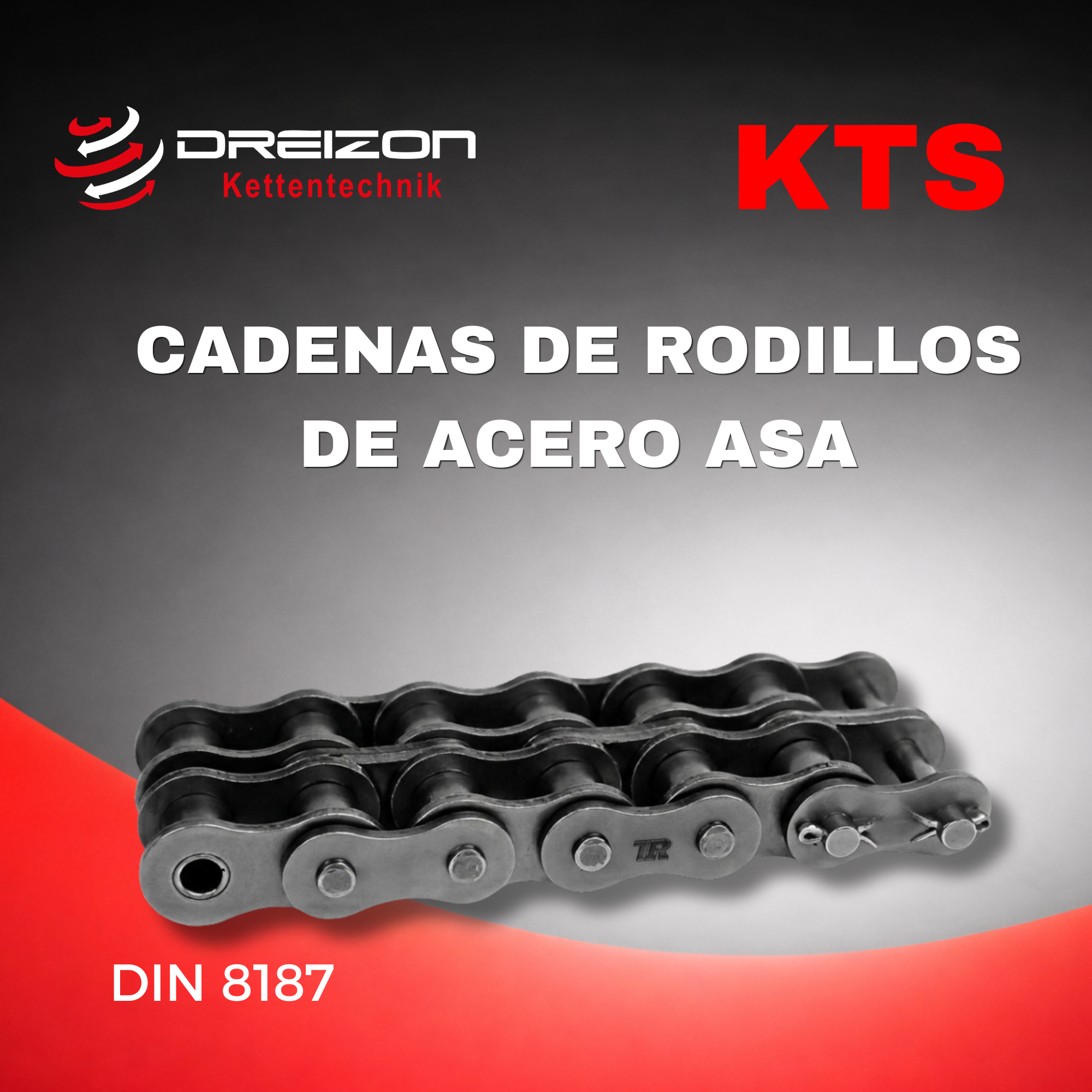 Cadenas de rodillos de acero ASA